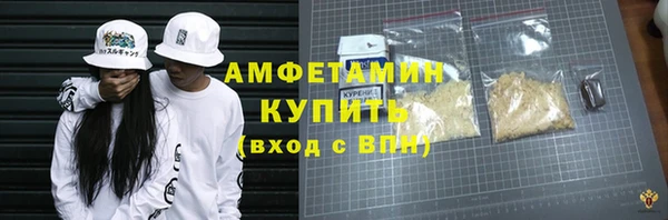 дживик Богородск