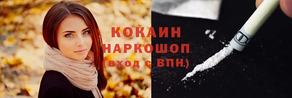 спайс Богородицк