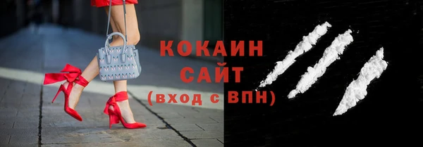 дживик Богородск