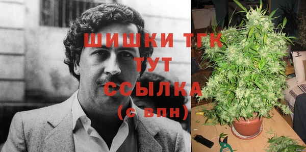 дживик Богородск